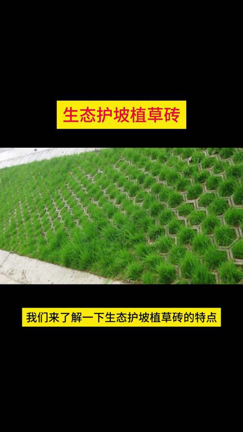 海绵城市设计