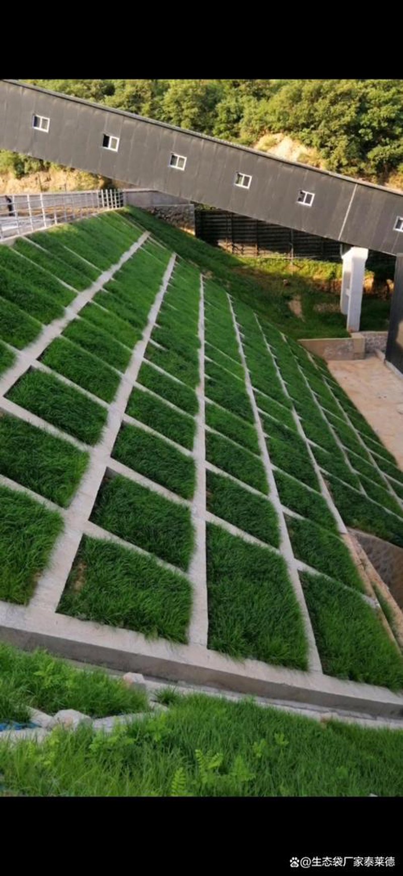 透水砖厂家选购技巧解析：让城市呼吸更顺畅